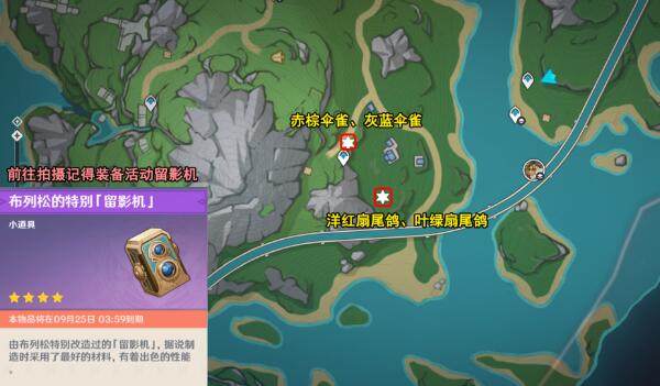 原神光影研學旖旎水界第四天怎么通關 光影研學旖旎水界第四天通關攻略圖2
