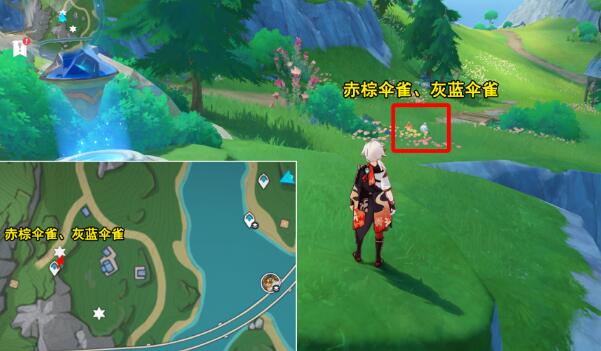 原神光影研學旖旎水界第四天怎么通關 光影研學旖旎水界第四天通關攻略圖3