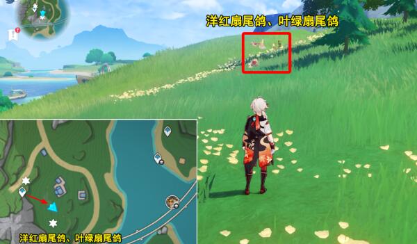 原神光影研學旖旎水界第四天怎么通關 光影研學旖旎水界第四天通關攻略圖4