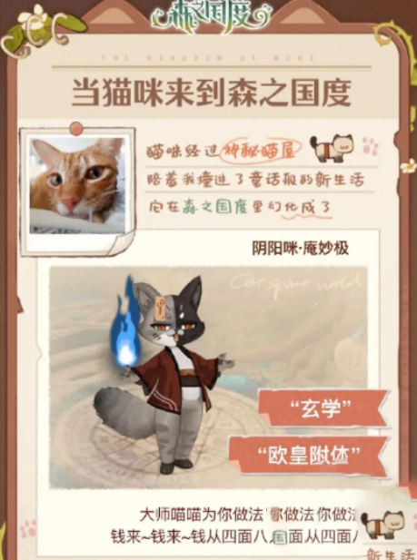 森之國度貓靈圖冊有什么用圖2