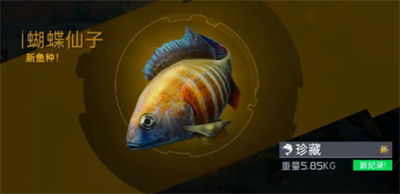 星球重啟釣魚震動關閉方法推薦分享