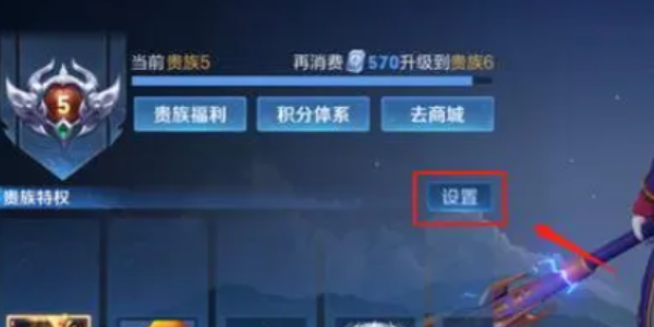 王者榮耀v10皮膚共享限制一覽