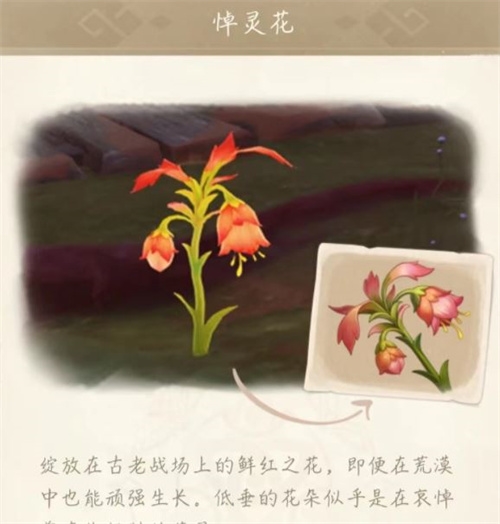 手游攻略-原神悼靈花多久刷新一次？