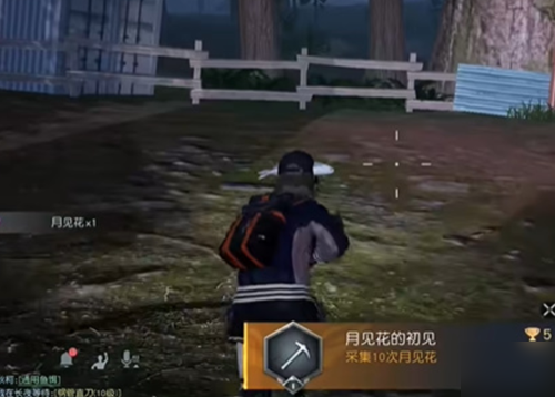 手游攻略-黎明覺醒月見花在哪？