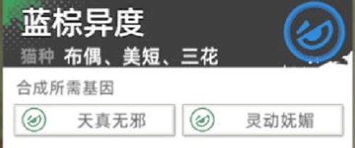 手游攻略-貓之城主題貓?jiān)趺传@得？