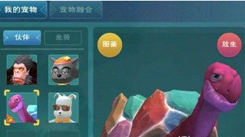 創(chuàng)造與魔法龜怎么馴服方法分享