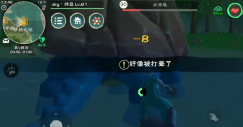 創(chuàng)造與魔法龜怎么馴服方法分享