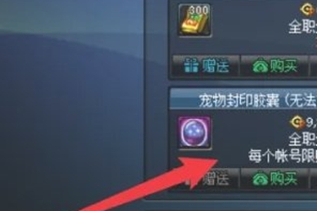 《地下城與勇士：起源》寵物封印膠囊使用方法